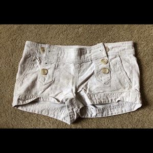 Express Shorts